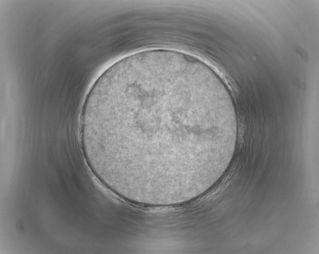 X0000115411535200912151530