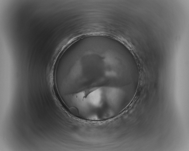 X0000115420002200911101641
