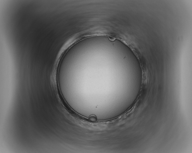 X0000115420004200911101641