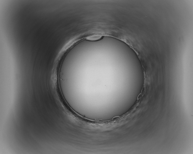 X0000115420005200911101641