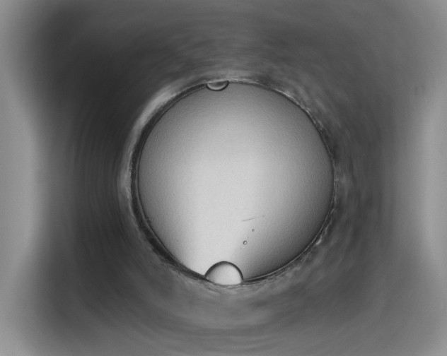 X0000115420006200911101641