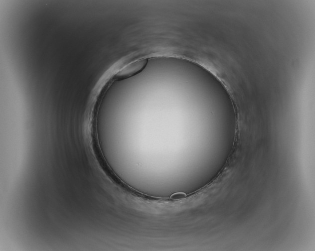 X0000115420007200911101641