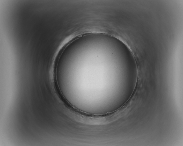 X0000115420008200911101641