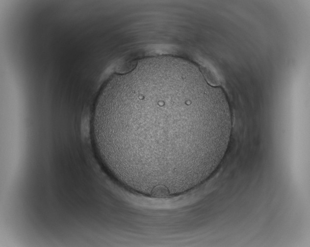 X0000115420010200911101641
