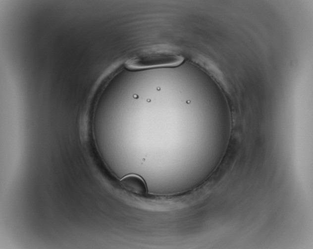 X0000115420012200911101641