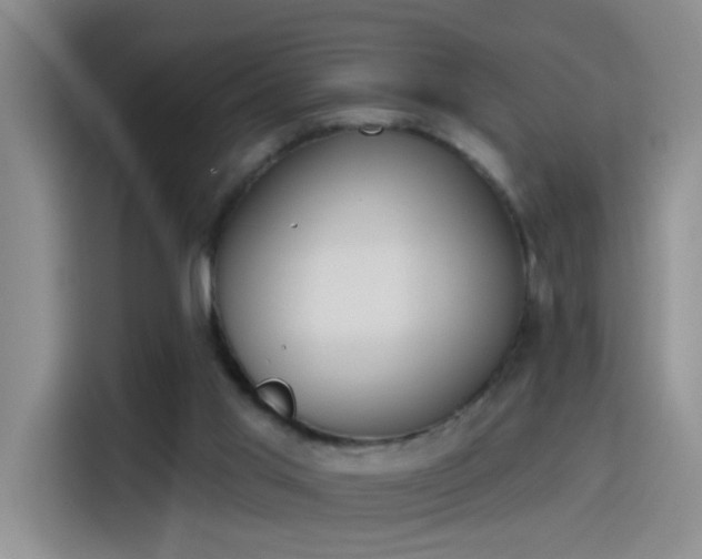 X0000115420013200911101641