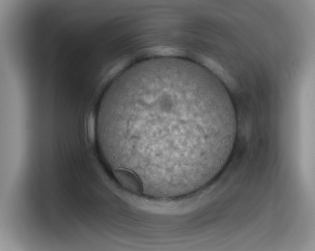X0000115420014200911101641
