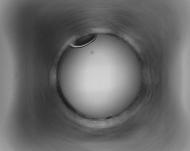X0000115420015200911101641
