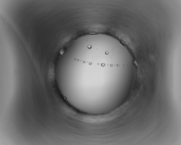 X0000115420017200911101641
