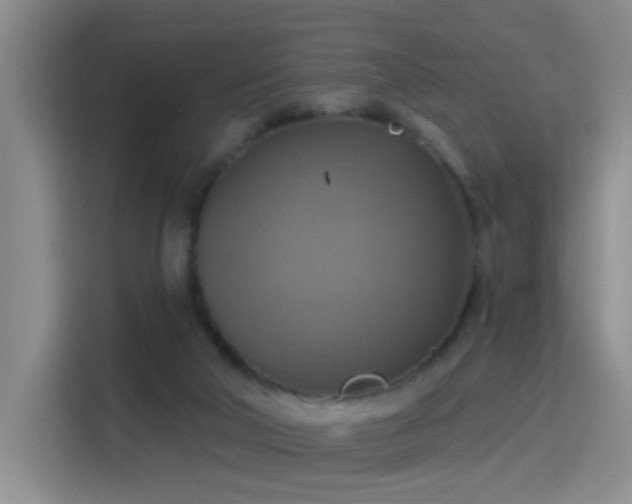 X0000115420018200911101640