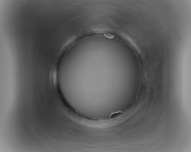 X0000115420019200911101640