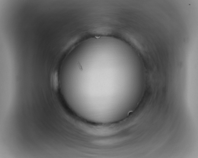 X0000115420020200911101640