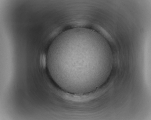 X0000115420022200911101640