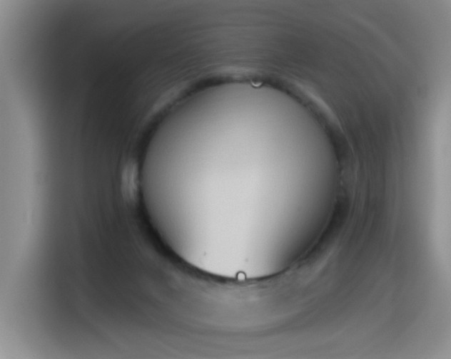 X0000115420024200911101640