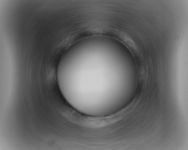 X0000115420029200911101640