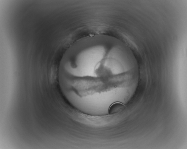 X0000115420030200911101640
