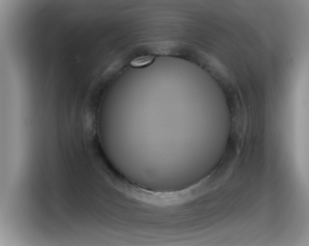 X0000115420031200911101640