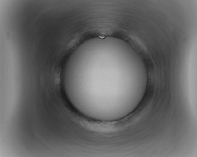 X0000115420032200911101640