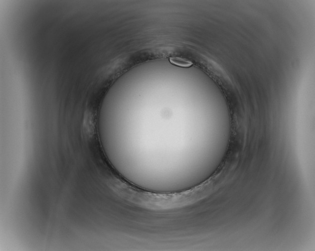 X0000115420037200911101640