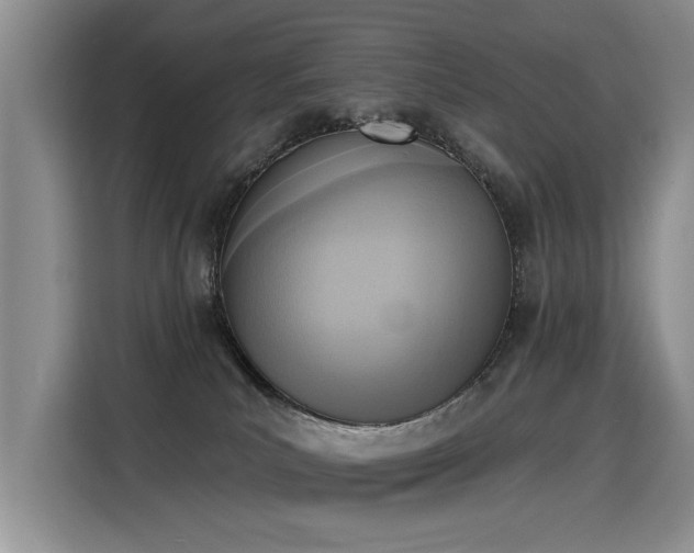 X0000115420039200911101640