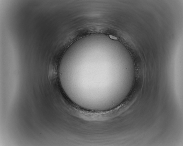 X0000115420040200911101640