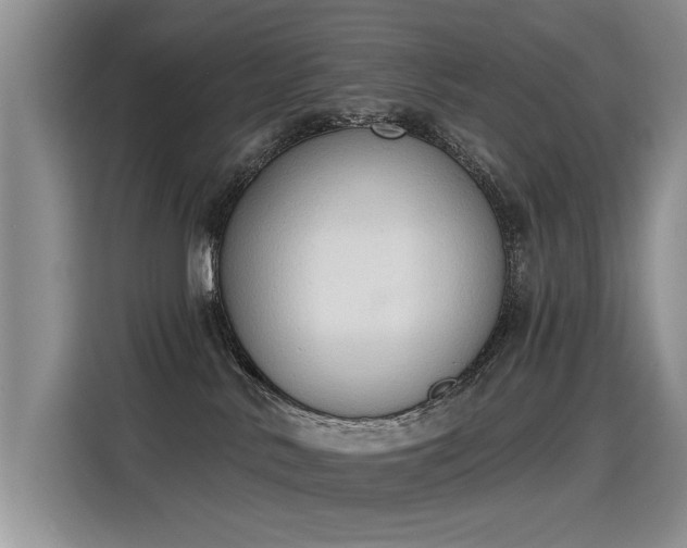 X0000115420042200911101640