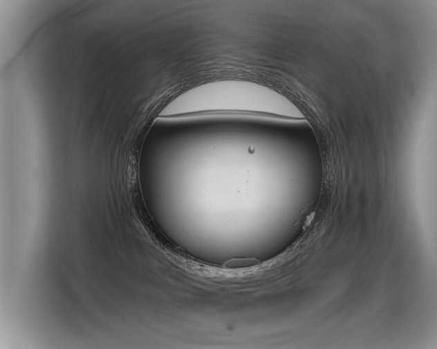 X0000115420043200911101640