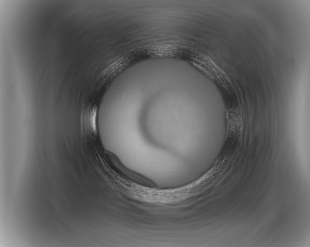 X0000115420047200911101640