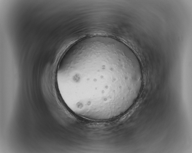 X0000115420049200911101639