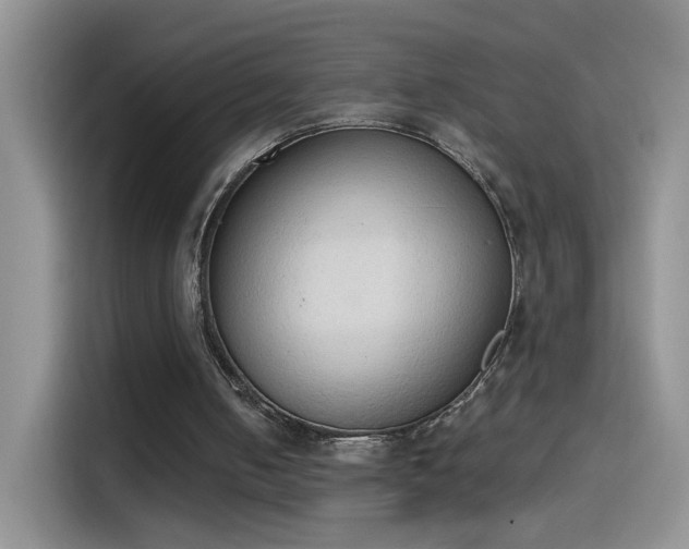 X0000115420050200911101639