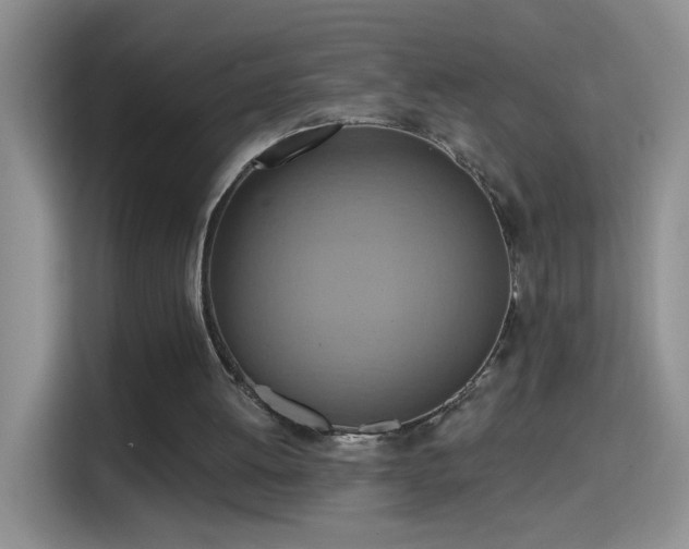 X0000115420052200911101640