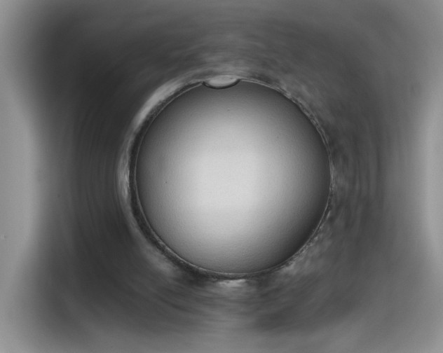 X0000115420054200911101640
