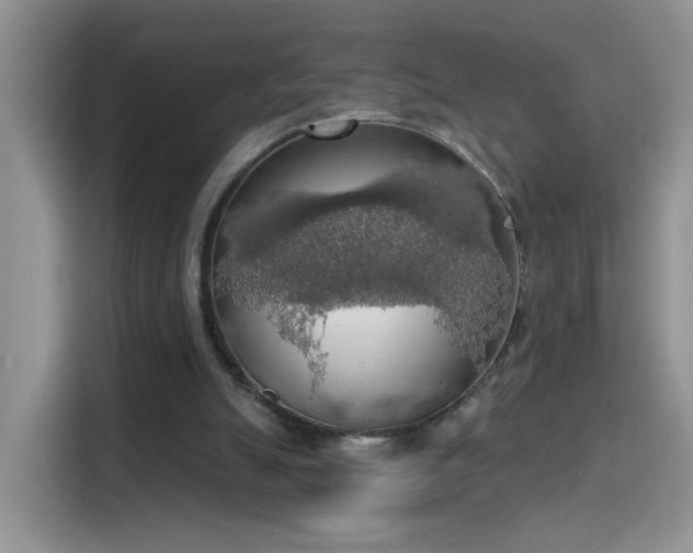 X0000115420055200911101640