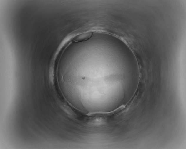 X0000115420056200911101640
