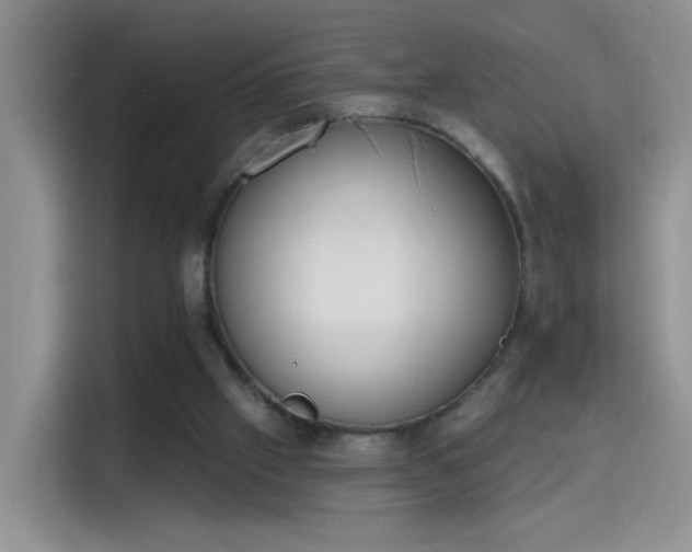 X0000115420057200911101640