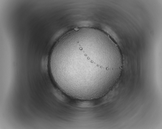 X0000115420058200911101640