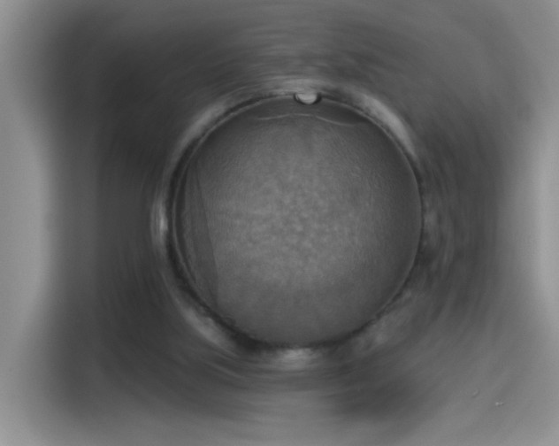 X0000115420059200911101640