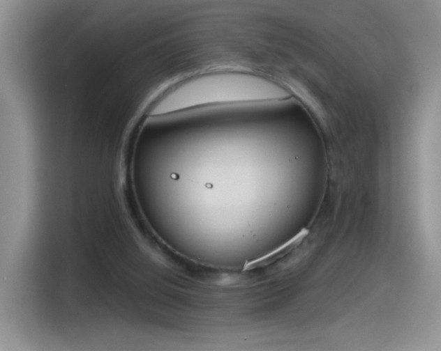 X0000115420060200911101640