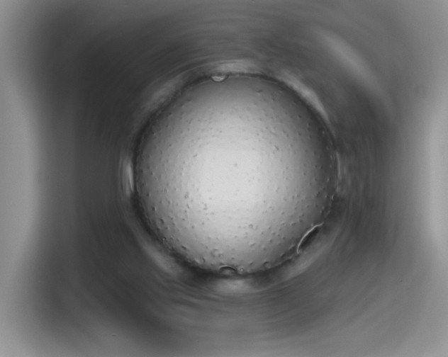 X0000115420061200911101640