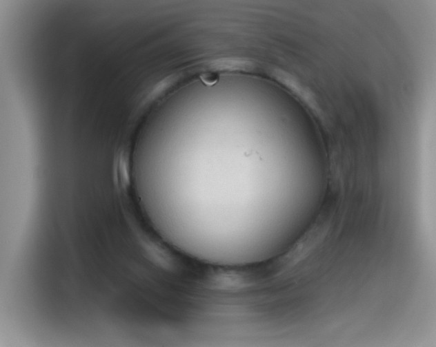 X0000115420062200911101640