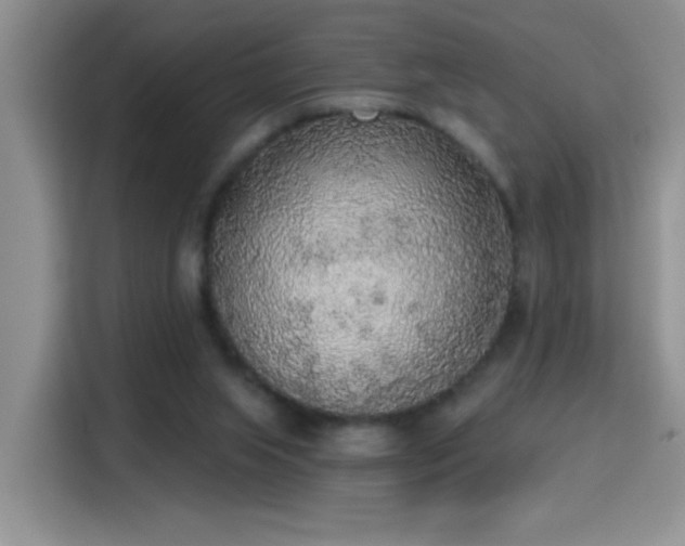 X0000115420063200911101640