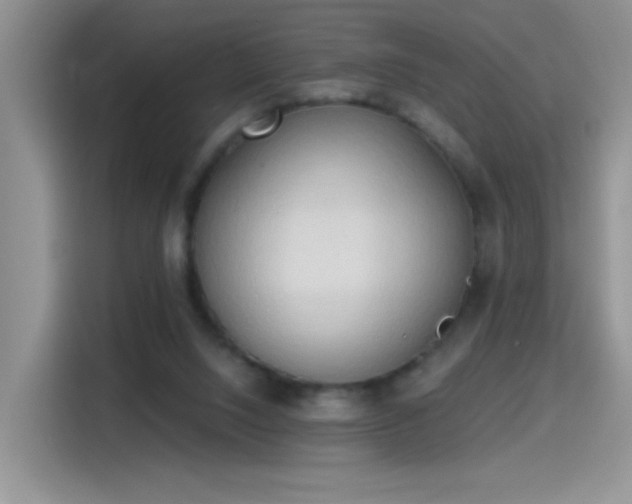 X0000115420064200911101640