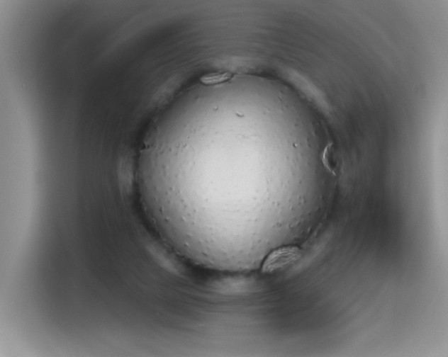 X0000115420065200911101640