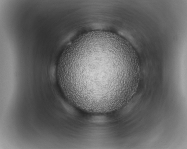 X0000115420066200911101640