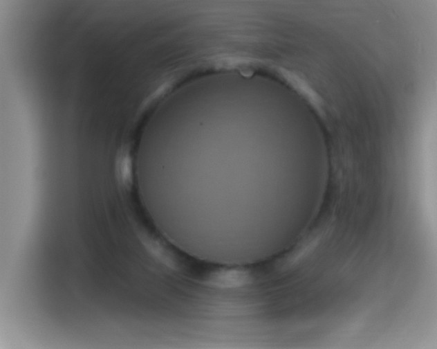 X0000115420067200911101640
