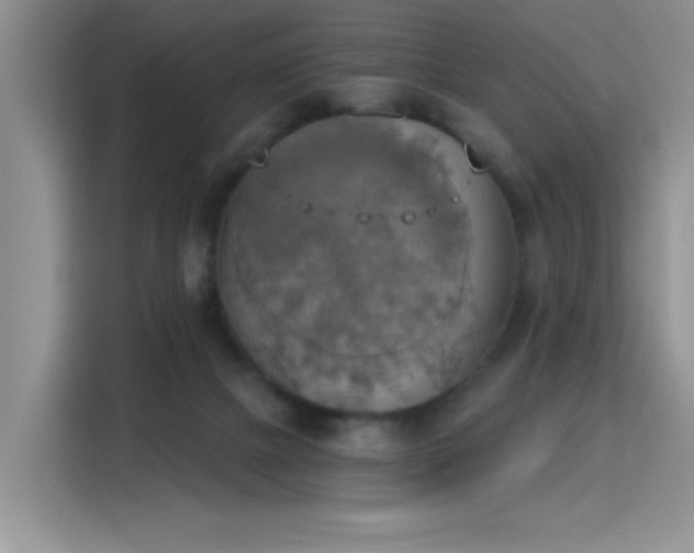 X0000115420073200911101640
