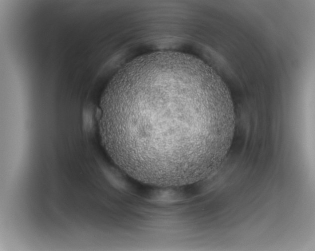 X0000115420074200911101640