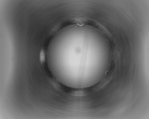 X0000115420075200911101640