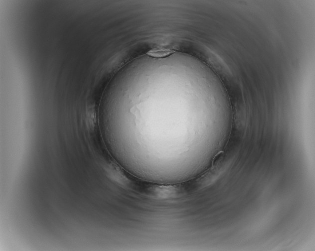 X0000115420085200911101640
