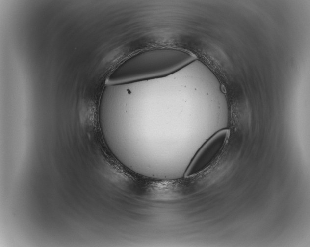 X0000115420092200911101640